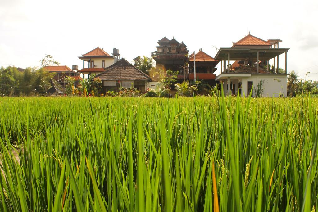 Cenik House Ubud Экстерьер фото
