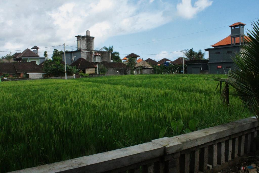 Cenik House Ubud Экстерьер фото